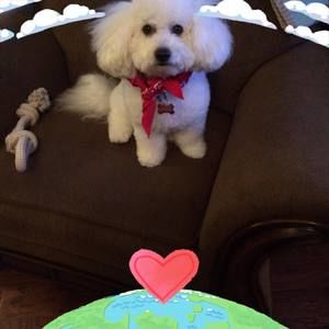 Meet your Posher, Lori